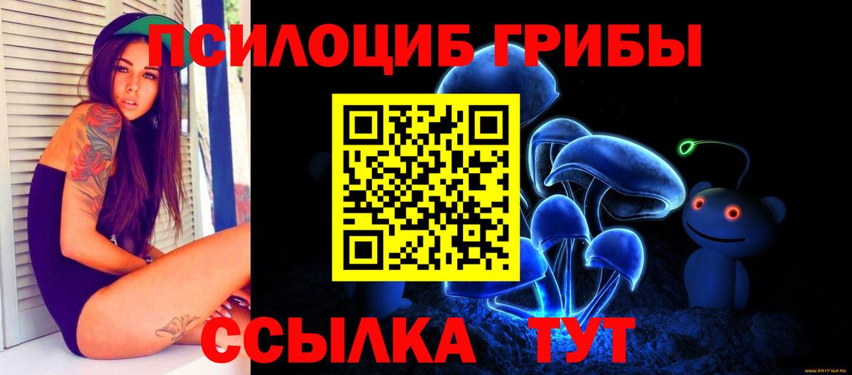 Михайловка  Псилоцибиновые грибы Cubensis  Псилоцибиновые грибы GOLDEN TEACHER  Вход с VPN 