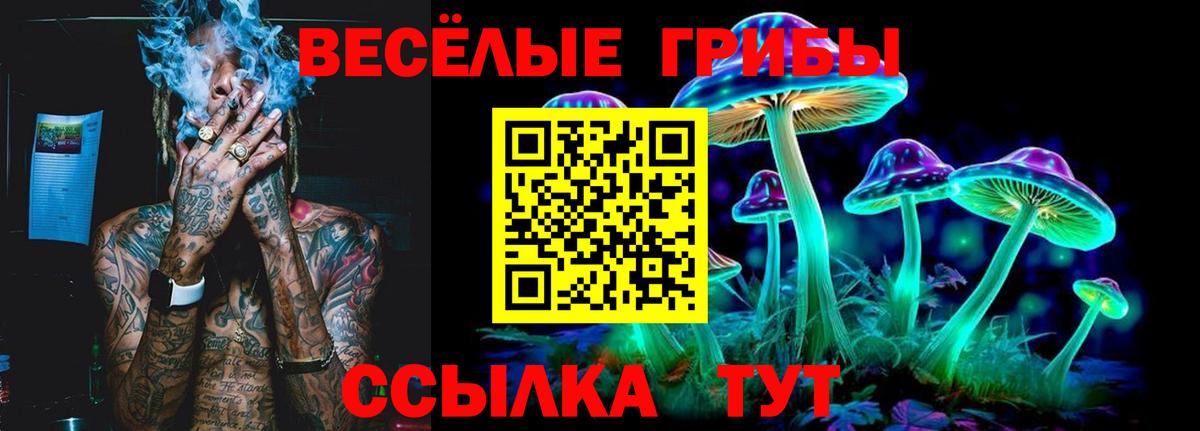 Псилоцибиновые грибы мухоморы Михайловка